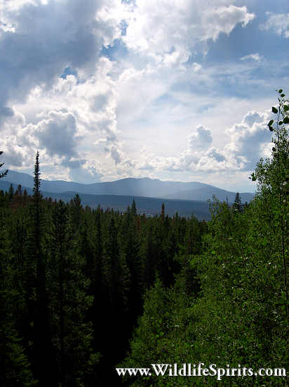 Click Picture to send as an  E-PostCard 65k 412x550